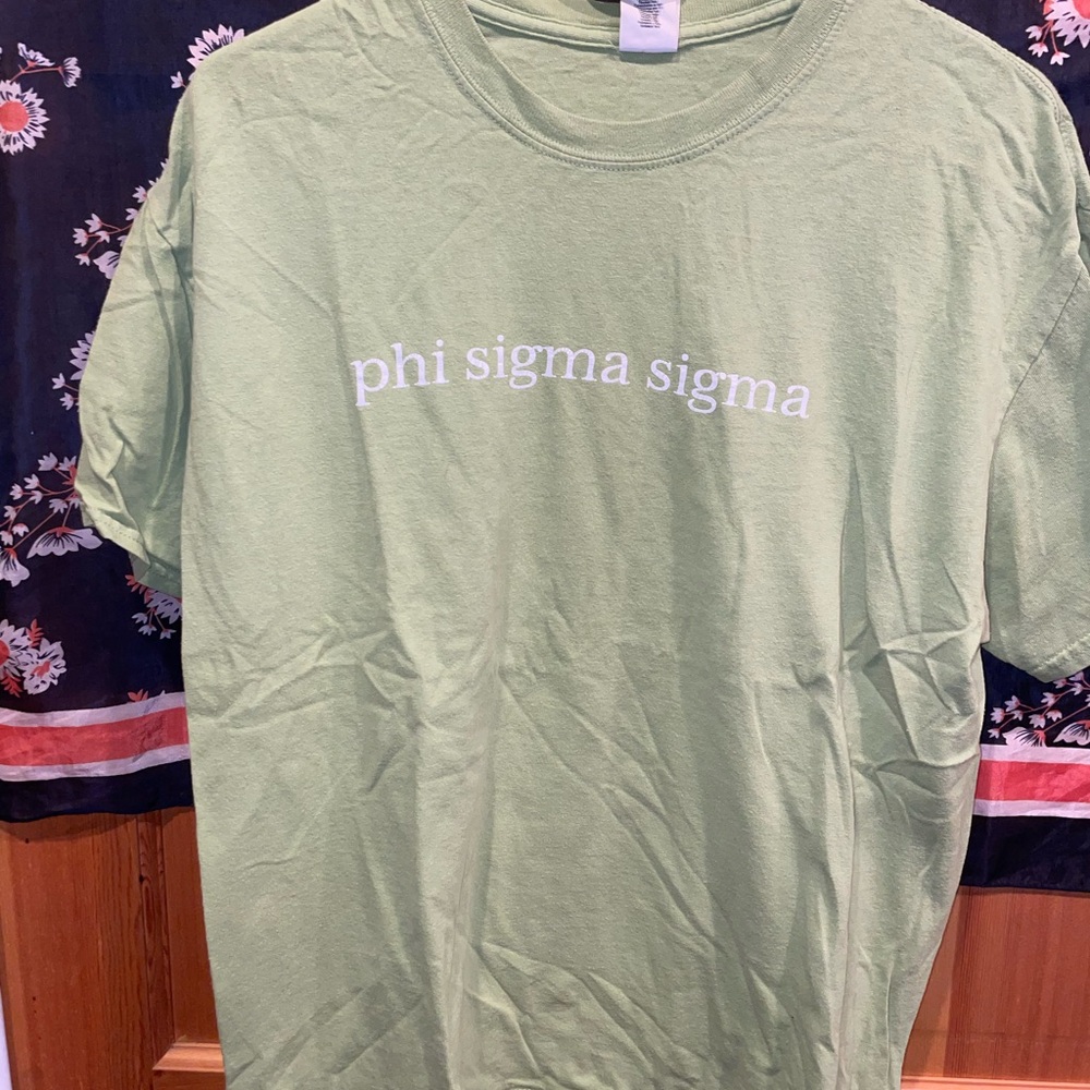 Gildan Light Green Phi Sigma Sigma Men's Tee